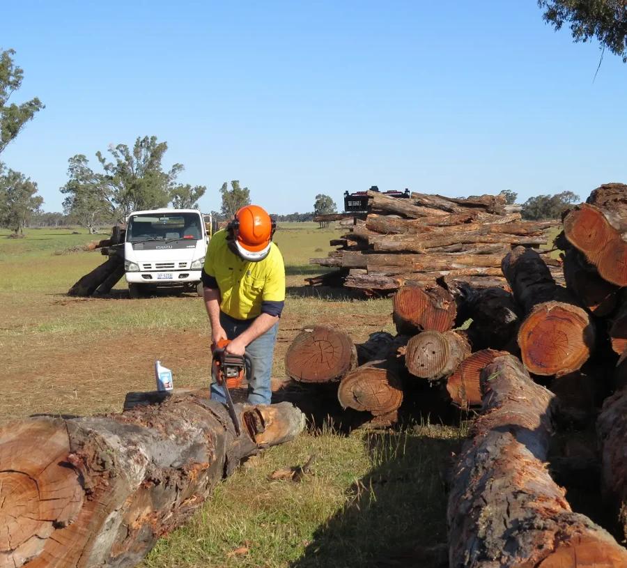 Premium Dry-Aged Redgum - Image 5