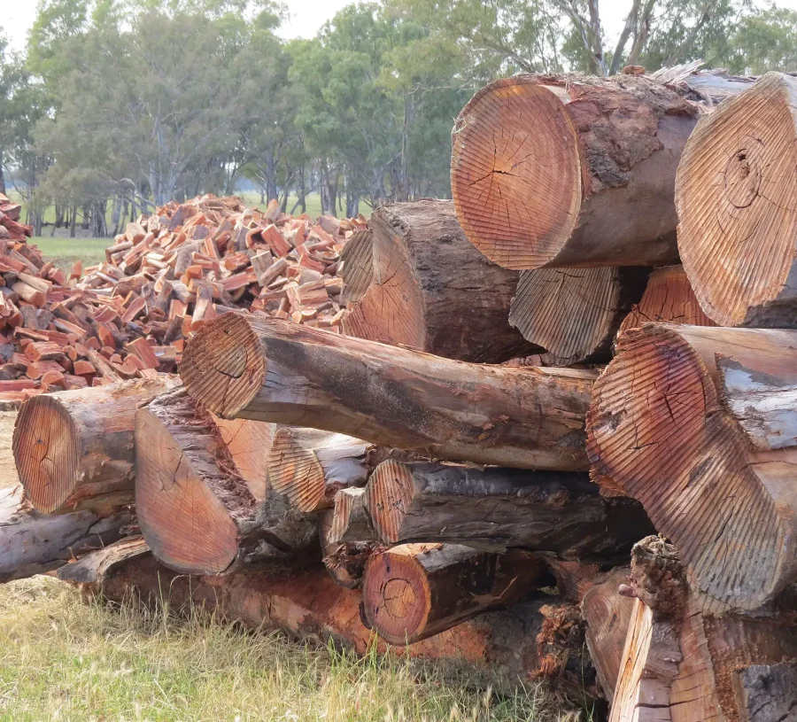 Premium Dry-Aged Redgum - Image 3