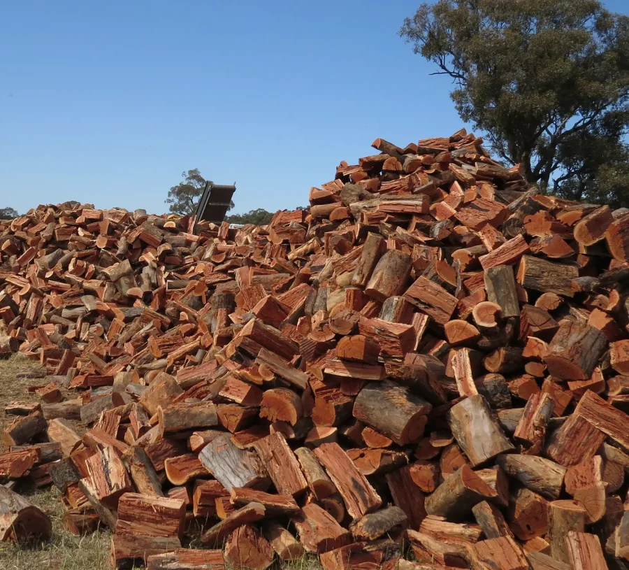 Premium Dry-Aged Redgum - Image 2