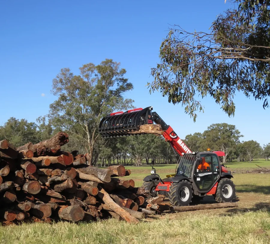 Premium Dry-Aged Redgum - Image 4